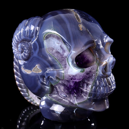 6.3" Amethyst Cluster Ram Horn Skull Carving Sculpture piece 3100314 view 7