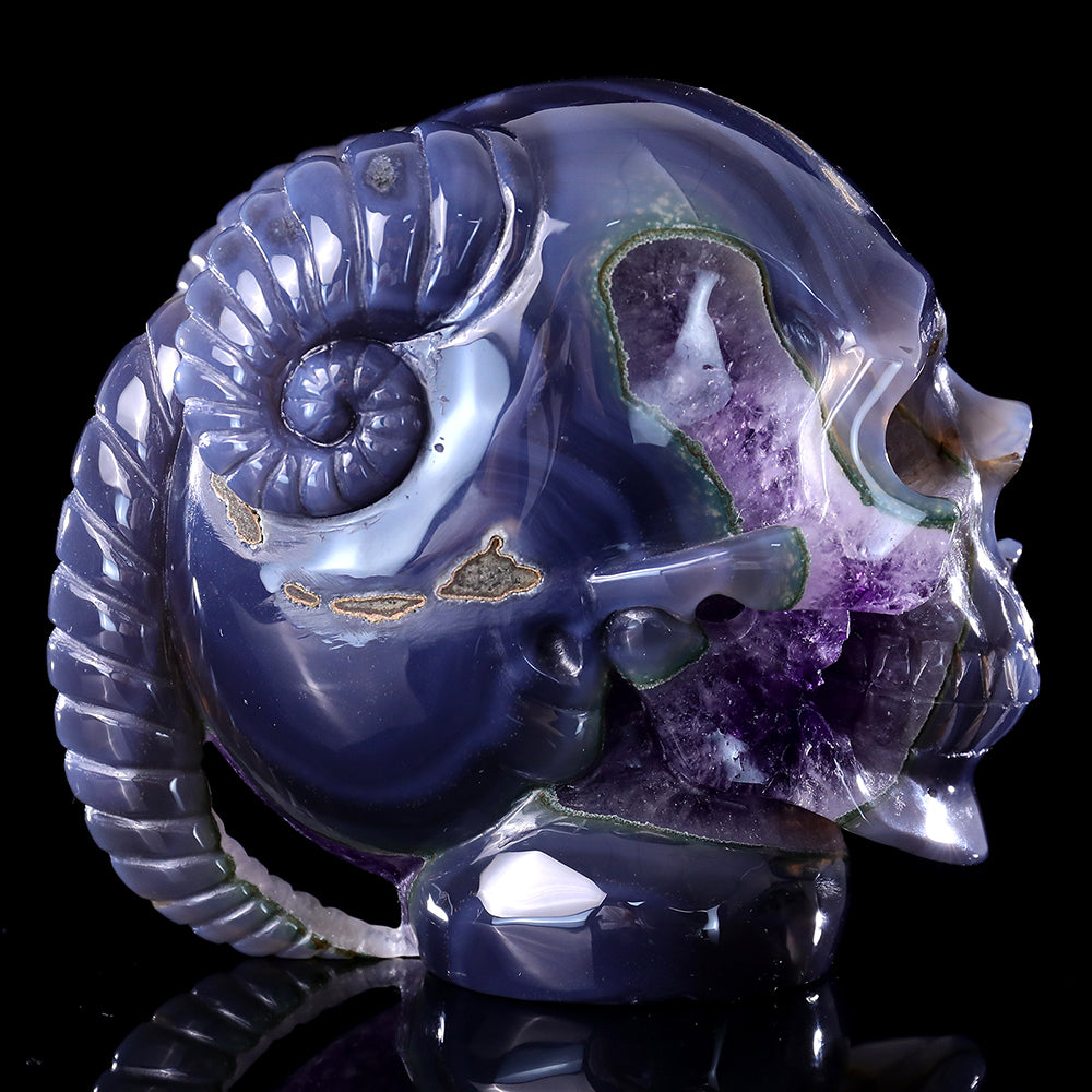 6.3" Amethyst Cluster Ram Horn Skull Carving Sculpture piece 3100314 view 8