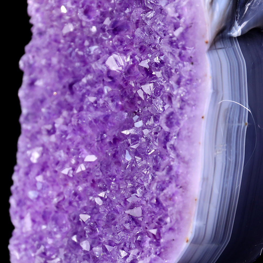 4.8" Amethyst Cluster Skull with Eagle Head Carving Sculpture piece 3100315 view 4