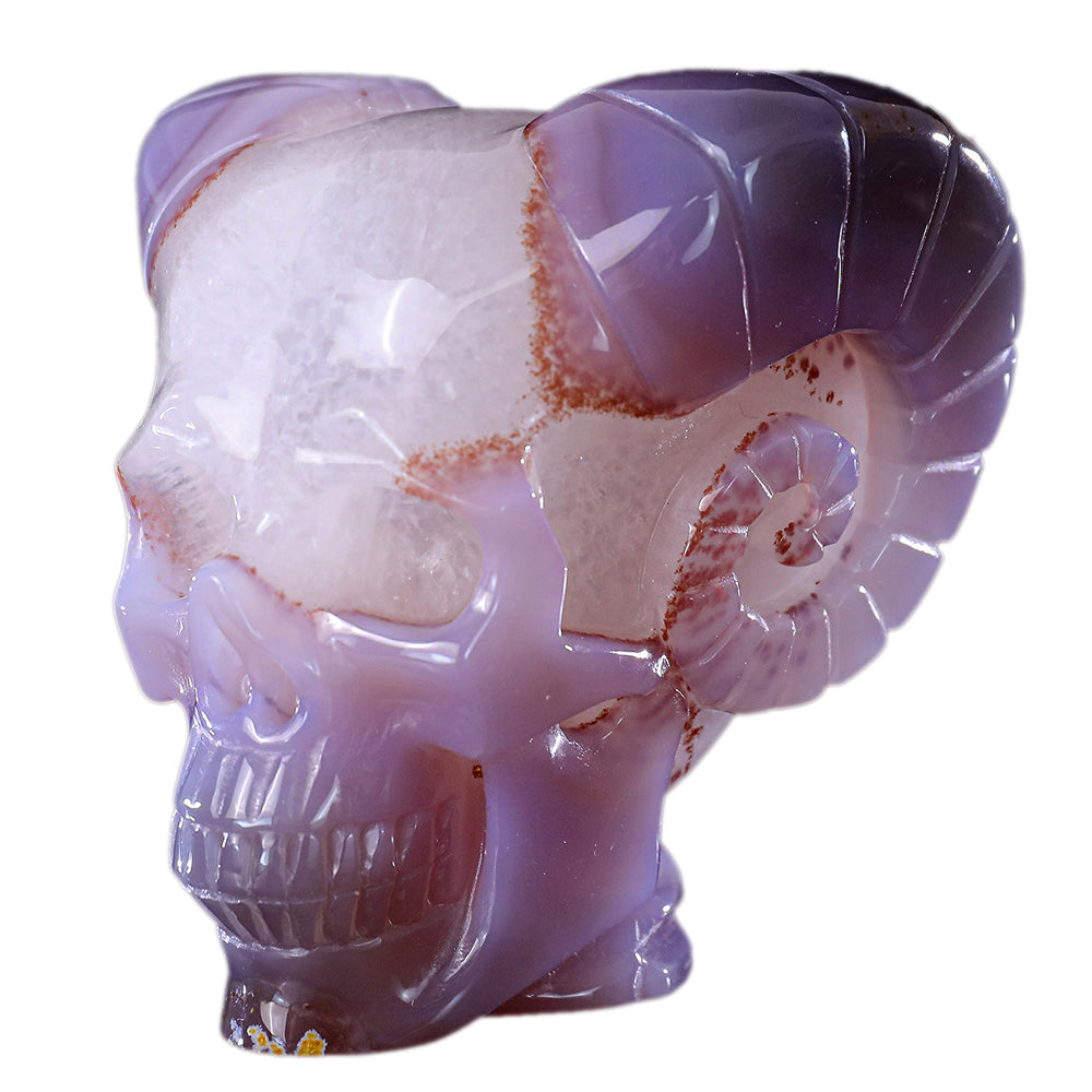 3.4" Geode Agate Ram Horn Skull Carving Sculpture piece 3100316 hand carved natural gemstone sculpture by Nicedony
