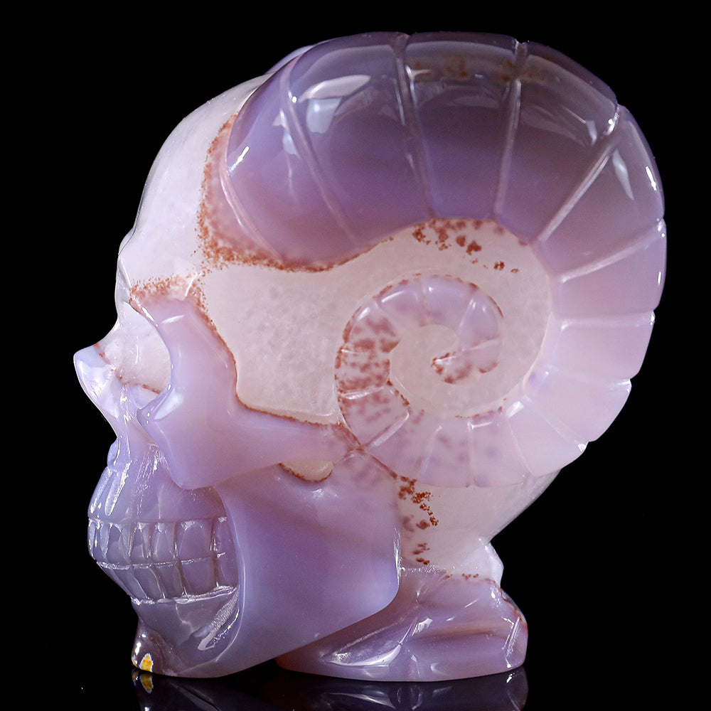 3.4" Geode Agate Ram Horn Skull Carving Sculpture piece 3100316 view 5
