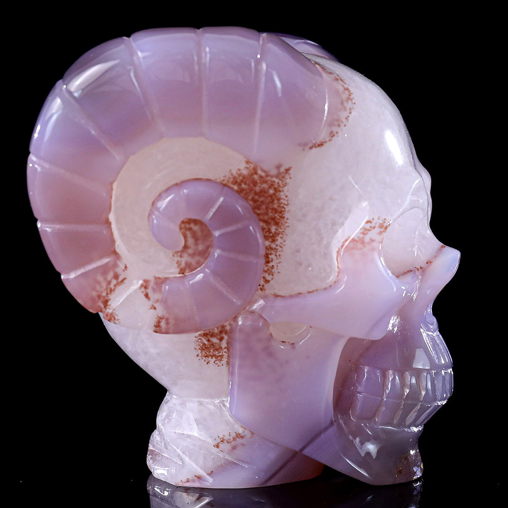 3.4" Geode Agate Ram Horn Skull Carving Sculpture piece 3100316 view 7