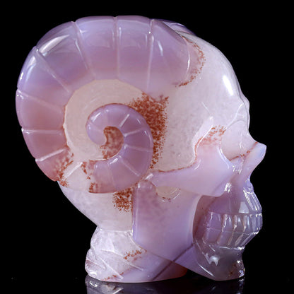 3.4" Geode Agate Ram Horn Skull Carving Sculpture piece 3100316 view 7