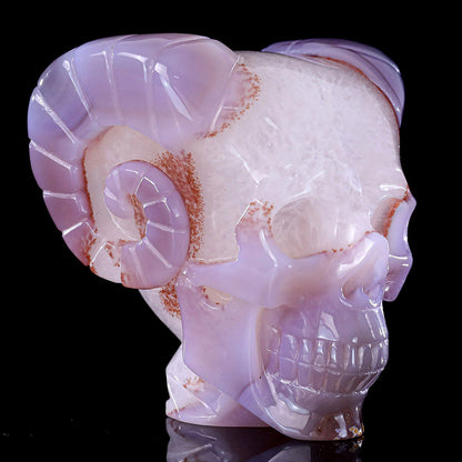 3.4" Geode Agate Ram Horn Skull Carving Sculpture piece 3100316 view 8