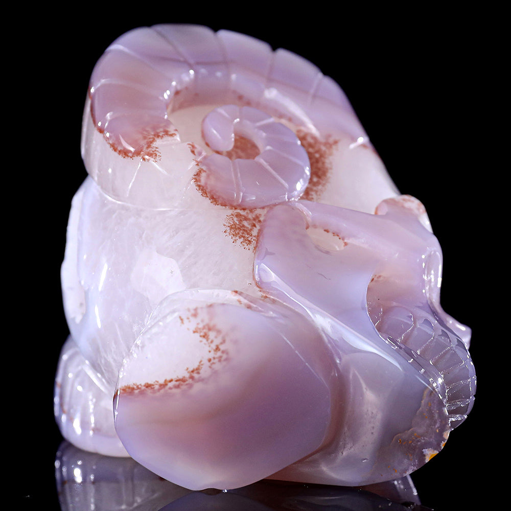 3.4" Geode Agate Ram Horn Skull Carving Sculpture piece 3100316 view 9
