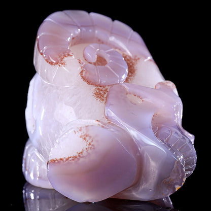3.4" Geode Agate Ram Horn Skull Carving Sculpture piece 3100316 view 9