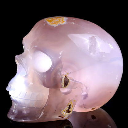 3.7" Geode Agate Human Skull Carving Sculpture piece 3100328 view 2