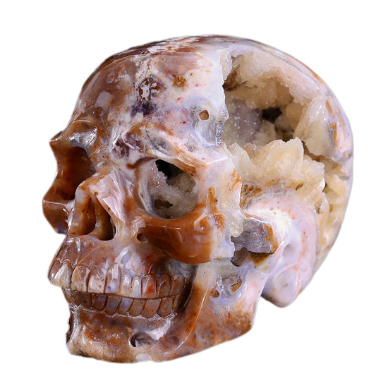 6.5" Yellow Chalcedony Human Skull Carving Sculpture piece 3100330 hand carved natural gemstone sculpture by Nicedony