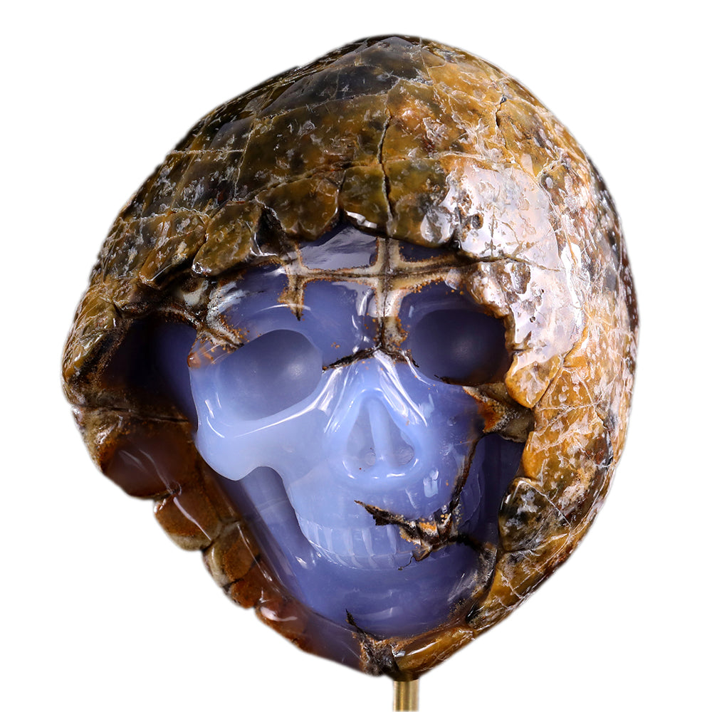 3.0" Blue Chalcedony Human Skull with Rough Skin Carving Sculpture piece 3100336 hand carved natural gemstone sculpture by Nicedony