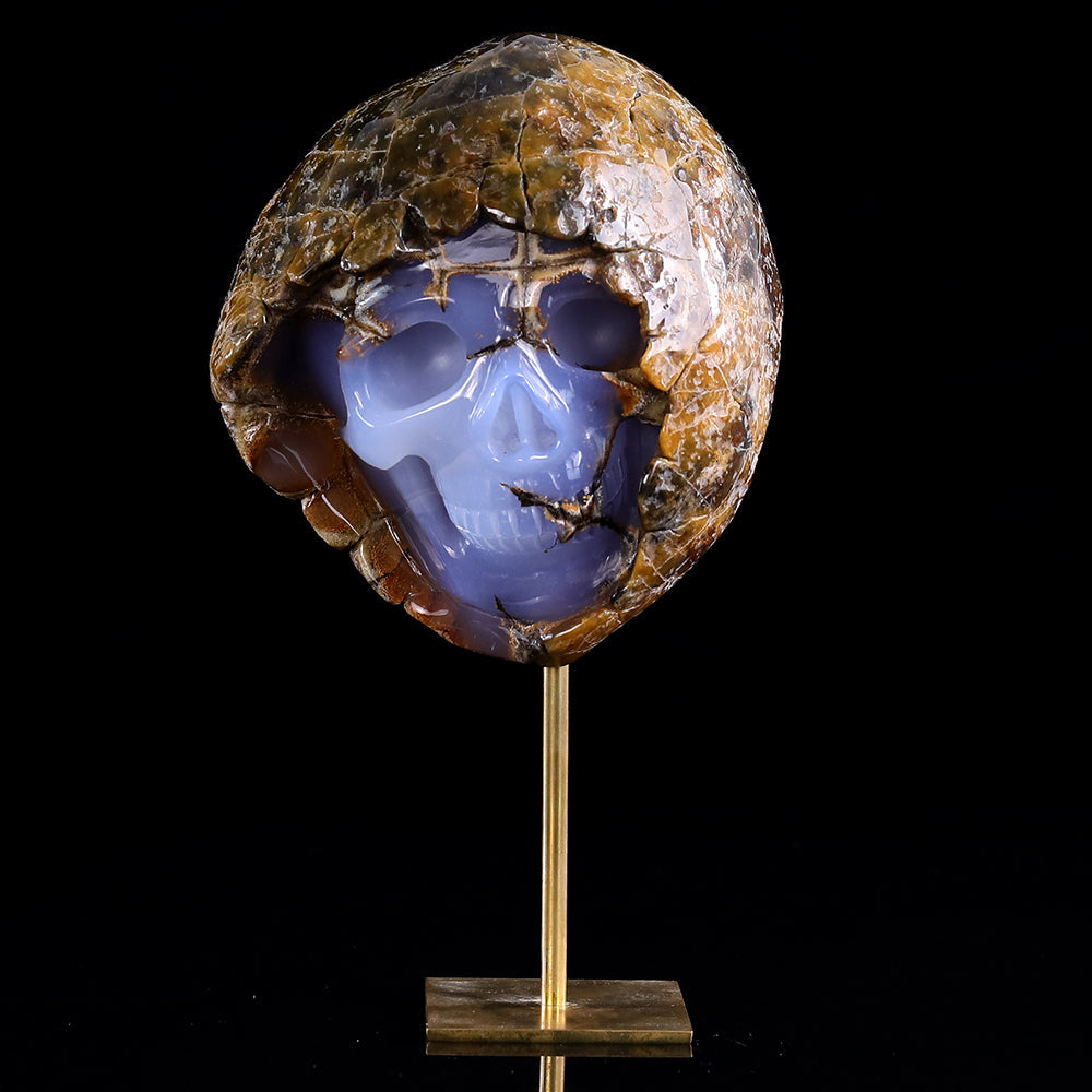 3.0" Blue Chalcedony Human Skull with Rough Skin Carving Sculpture piece 3100336 view 2