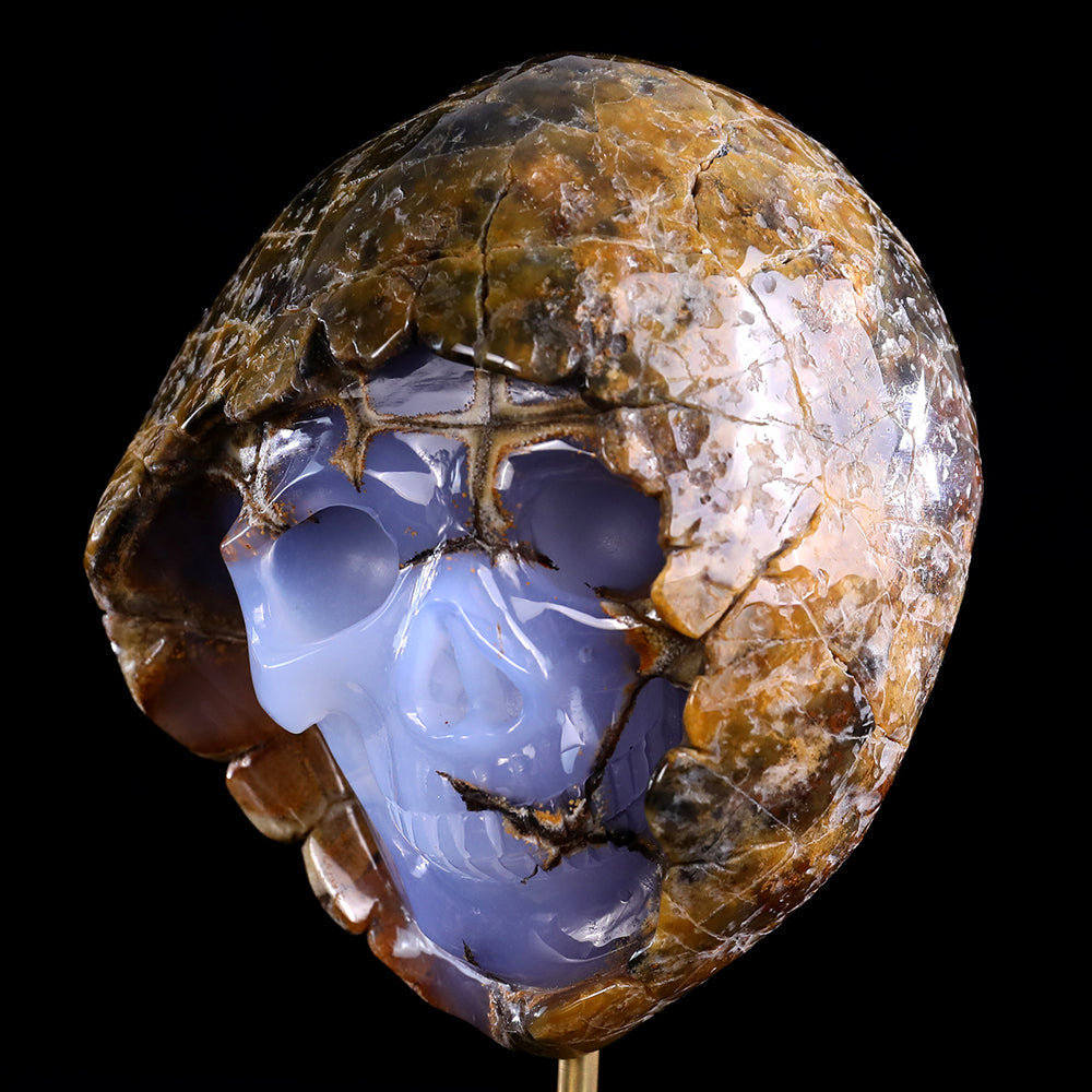 3.0" Blue Chalcedony Human Skull with Rough Skin Carving Sculpture piece 3100336 view 3