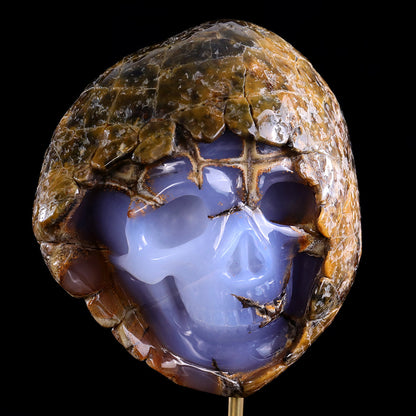 3.0" Blue Chalcedony Human Skull with Rough Skin Carving Sculpture piece 3100336 view 4