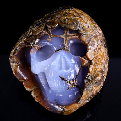 3.0" Blue Chalcedony Human Skull with Rough Skin Carving Sculpture piece 3100336 view 8