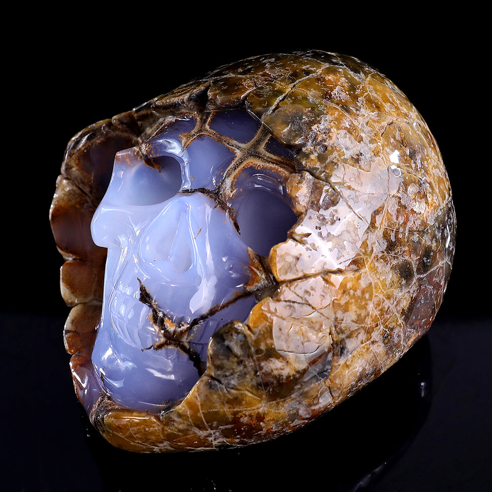 3.0" Blue Chalcedony Human Skull with Rough Skin Carving Sculpture piece 3100336 view 9