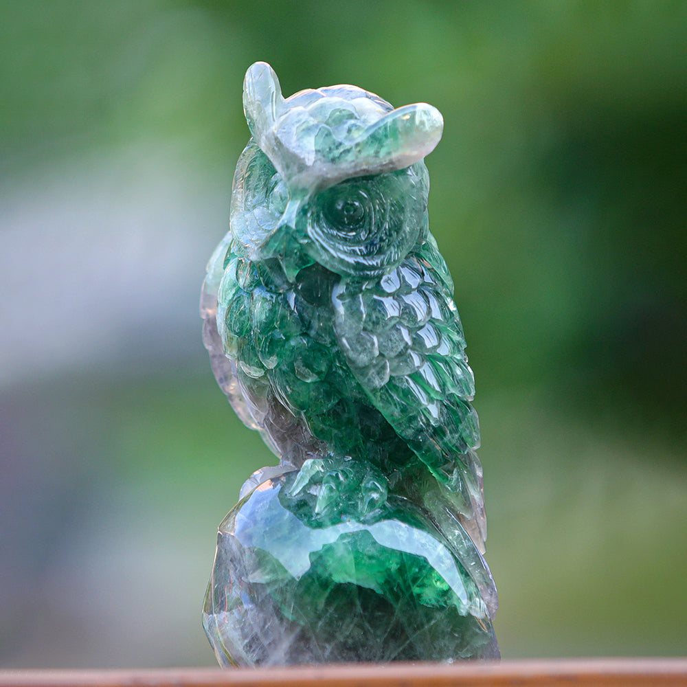 4.1" Fluorite Owl Carving Sculpture piece 3100339 view 2