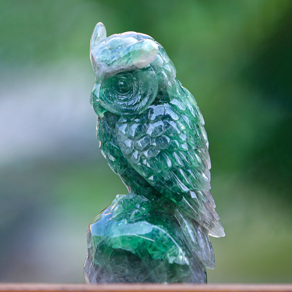 4.1" Fluorite Owl Carving Sculpture piece 3100339 view 3