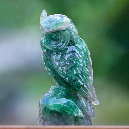 4.1" Fluorite Owl Carving Sculpture piece 3100339 view 3