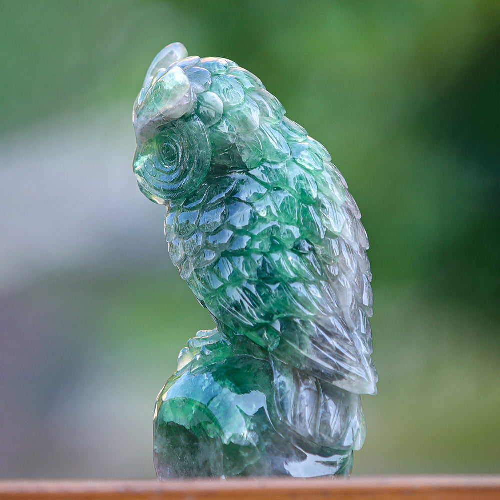 4.1" Fluorite Owl Carving Sculpture piece 3100339 view 4