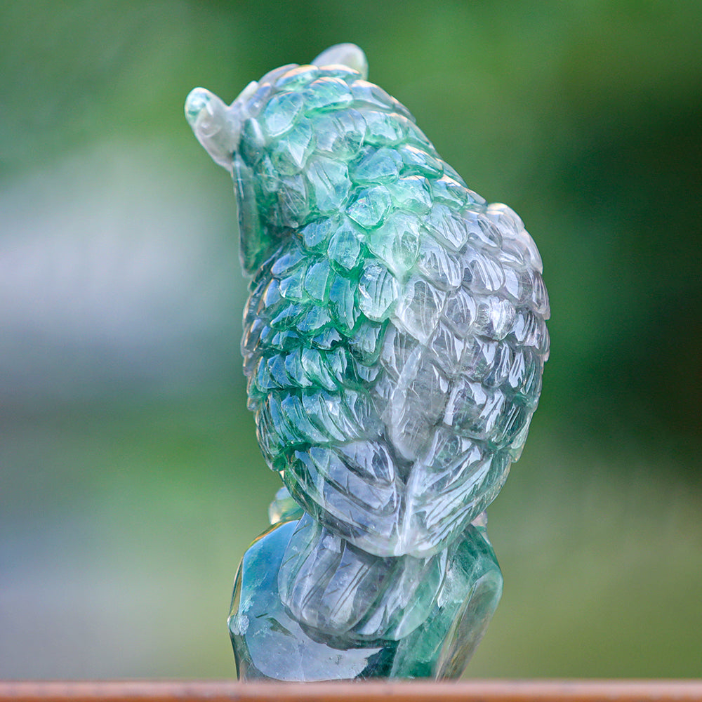 4.1" Fluorite Owl Carving Sculpture piece 3100339 view 5