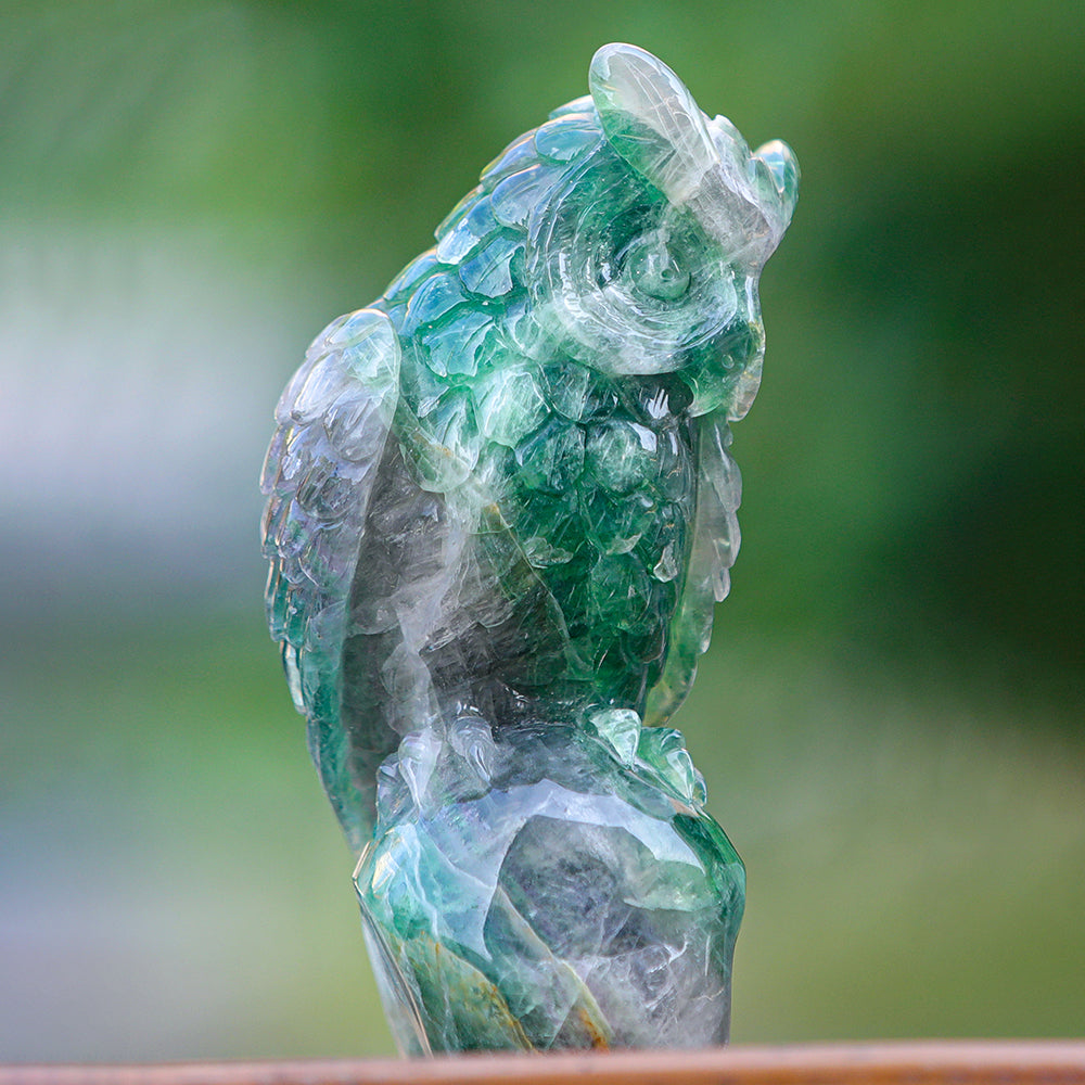 4.1" Fluorite Owl Carving Sculpture piece 3100339 view 6