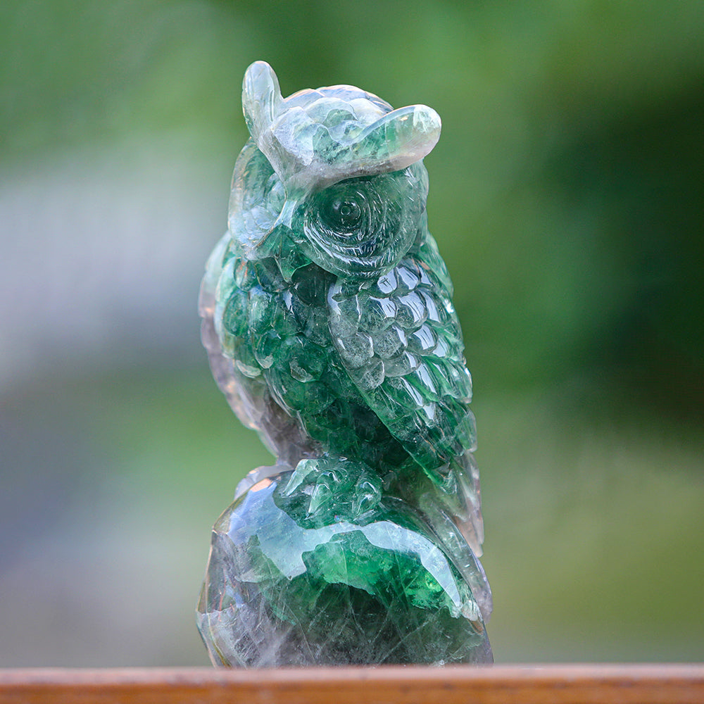4.1" Fluorite Owl Carving Sculpture piece 3100339 view 8
