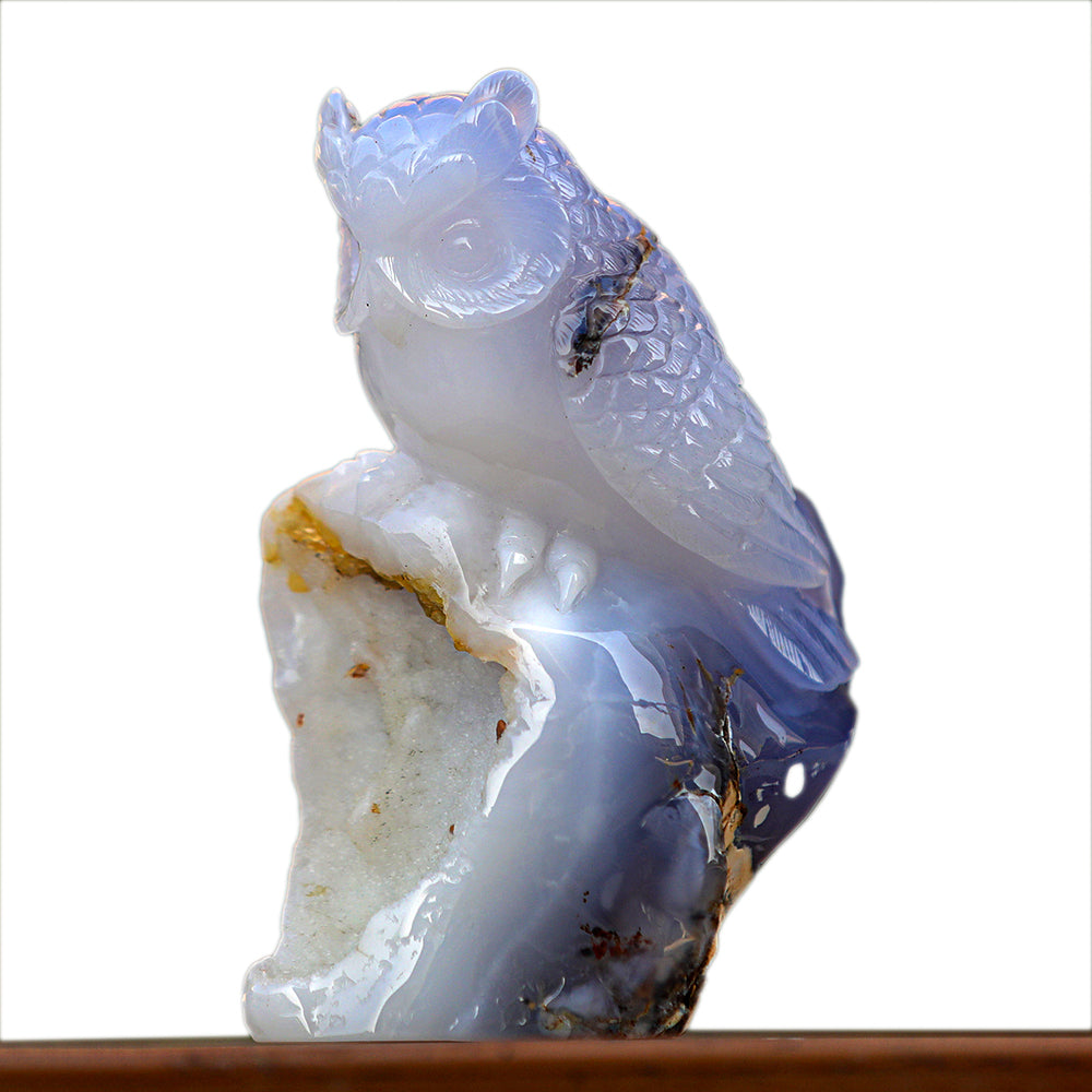 5.4" Blue Chalcedony Geode Owl Carving Sculpture piece 3100340 hand carved natural gemstone sculpture by Nicedony
