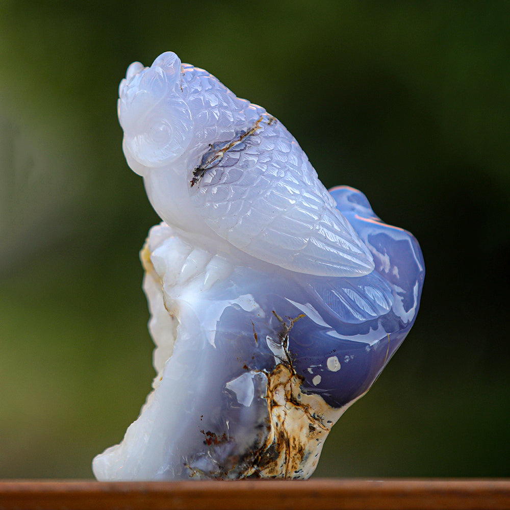 5.4" Blue Chalcedony Geode Owl Carving Sculpture piece 3100340 view 2