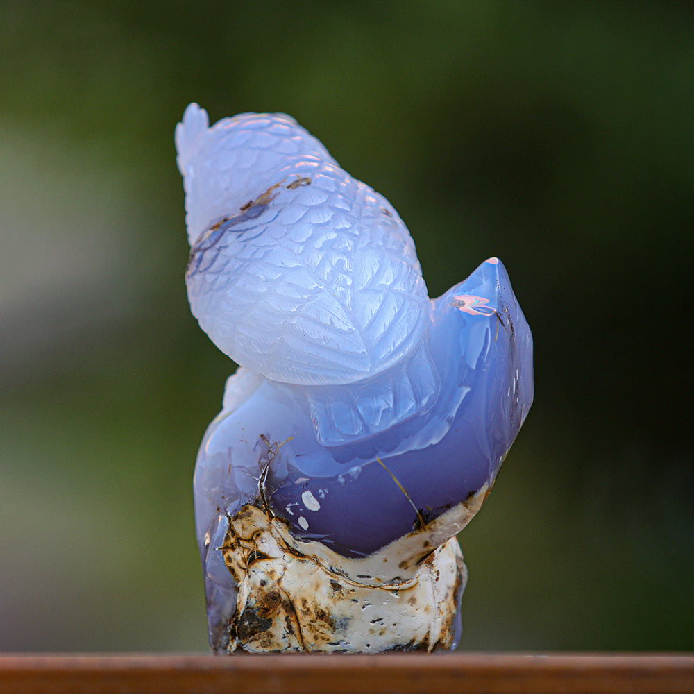 5.4" Blue Chalcedony Geode Owl Carving Sculpture piece 3100340 view 3