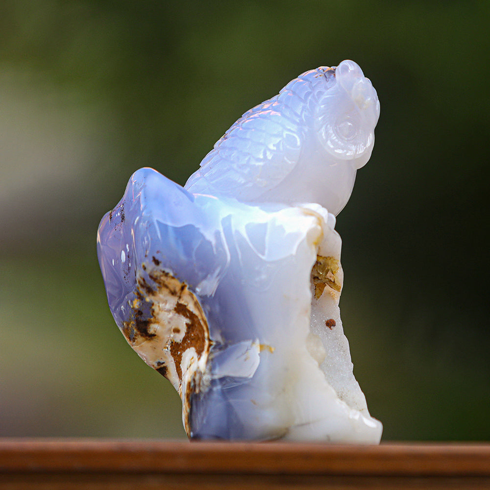 5.4" Blue Chalcedony Geode Owl Carving Sculpture piece 3100340 view 4