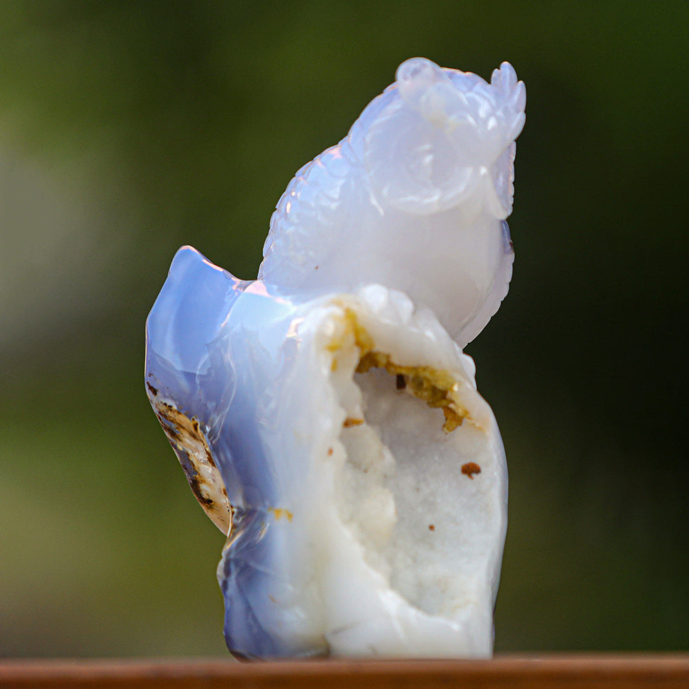 5.4" Blue Chalcedony Geode Owl Carving Sculpture piece 3100340 view 5