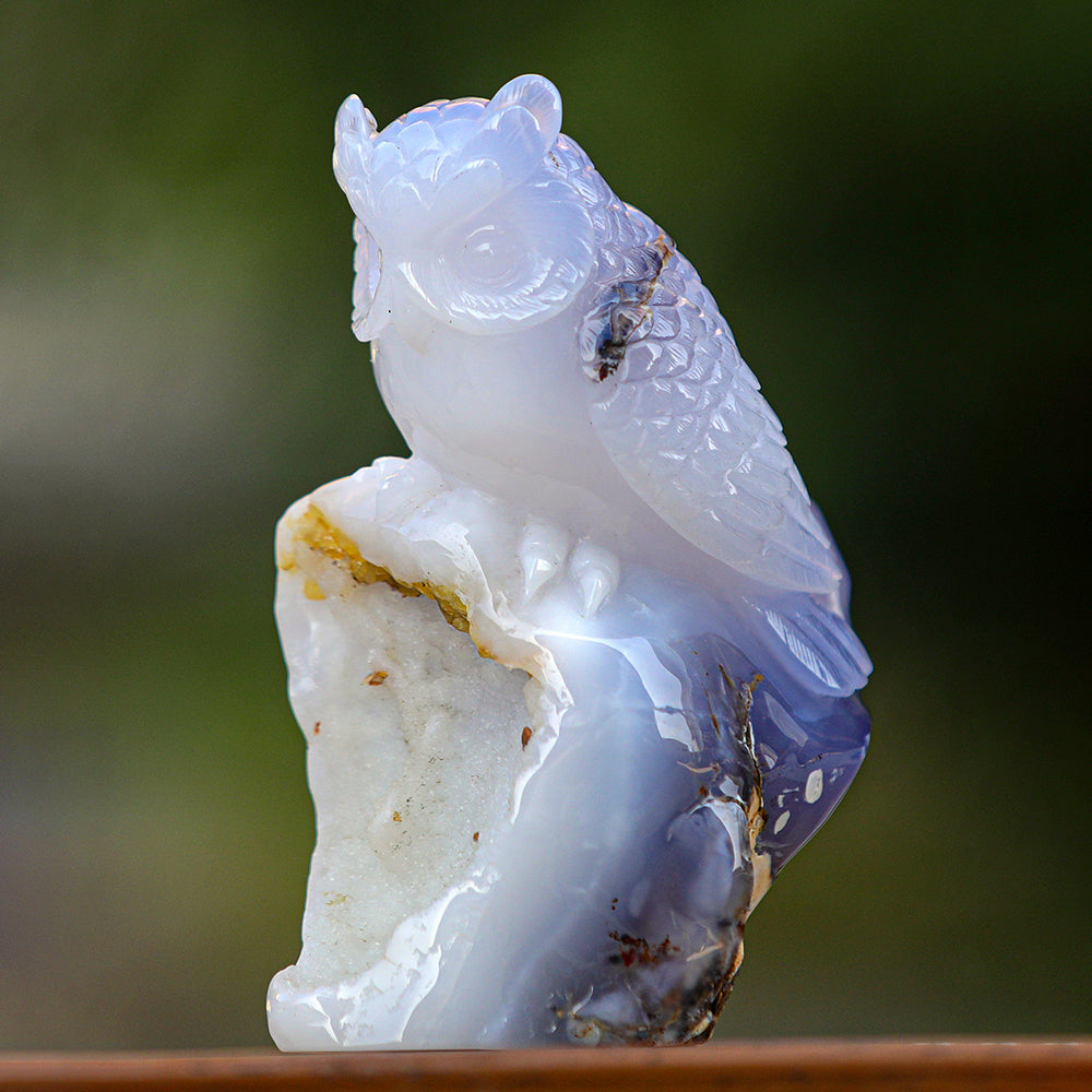 5.4" Blue Chalcedony Geode Owl Carving Sculpture piece 3100340 view 9