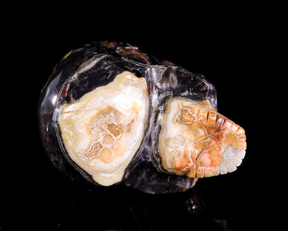 2.7" Red Lace Agate Hand Carved Crystal Realistic Skull Sculpture