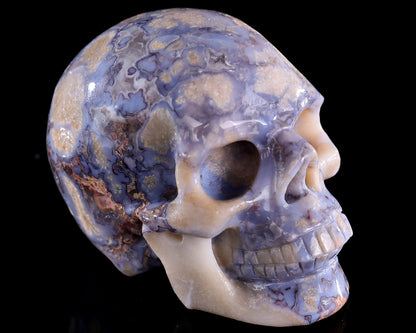 3.0" Blue Sakura Agate Hand Carved Crystal Realistic Skull Sculpture