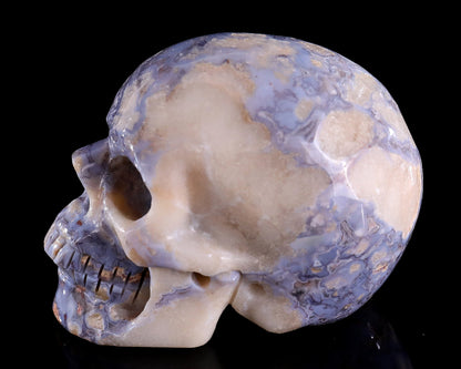 3.0" Blue Sakura Agate Hand Carved Crystal Realistic Skull Sculpture