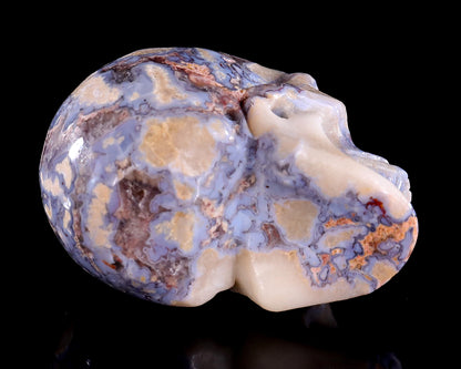 3.0" Blue Sakura Agate Hand Carved Crystal Realistic Skull Sculpture