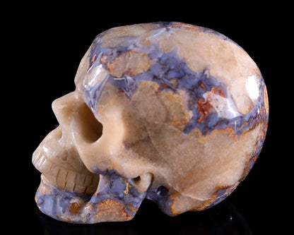 3.0" Blue Sakura Agate Hand Carved Crystal Realistic Skull Sculpture