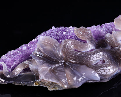 10.3" Amethyst Druse Agate Hand Carved Crystal Snake Sculpture