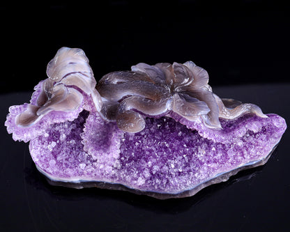 10.3" Amethyst Druse Agate Hand Carved Crystal Snake Sculpture