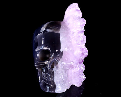 5.2" Amethyst Druse Agate Hand Carved Mineral Specimen Skull Sculpture