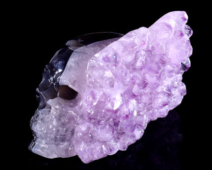 5.2" Amethyst Druse Agate Hand Carved Mineral Specimen Skull Sculpture