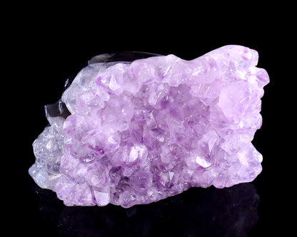 5.2" Amethyst Druse Agate Hand Carved Mineral Specimen Skull Sculpture