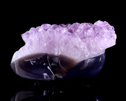 5.2" Amethyst Druse Agate Hand Carved Mineral Specimen Skull Sculpture