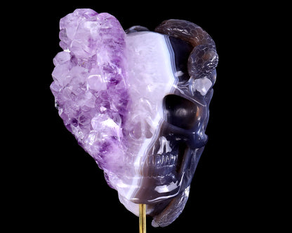 7.9" Amethyst Druse Agate Hand Carved Mineral Specimen Skull Sculpture