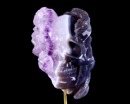 7.9" Amethyst Druse Agate Hand Carved Mineral Specimen Skull Sculpture