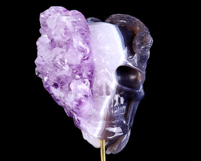 7.9" Amethyst Druse Agate Hand Carved Mineral Specimen Skull Sculpture