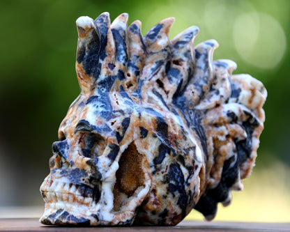 Unique 7.9" Geode Agate Hand Carved Crystal Geode Skull Sculpture
