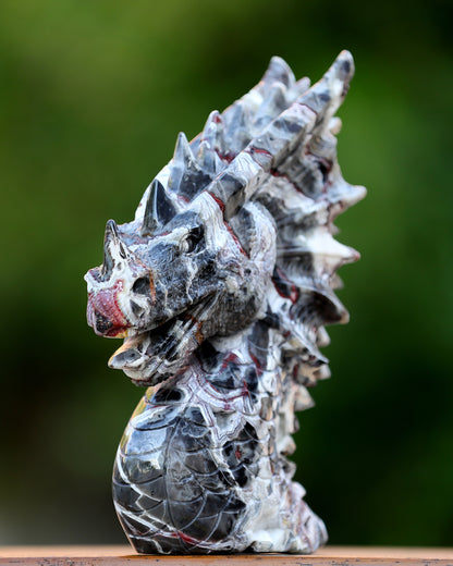 9.3" Red Lace Agate Hand Carved Crystal Dragon Skull Sculpture