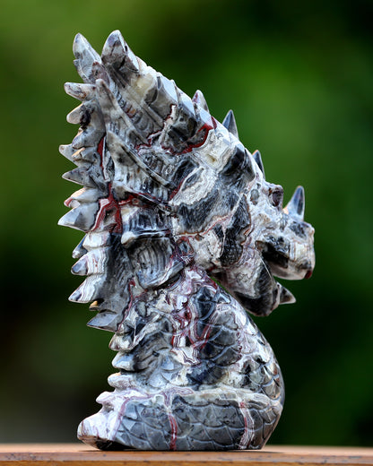 9.3" Red Lace Agate Hand Carved Crystal Dragon Skull Sculpture