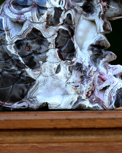 9.3" Red Lace Agate Hand Carved Crystal Dragon Skull Sculpture