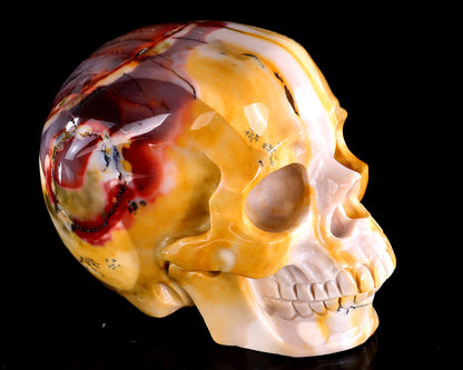 5.0" Colorful Mocha Agate Hand Carved Crystal Realistic Skull Sculpture